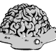 Melty-Brain