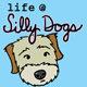 Life @ Silly Dogs