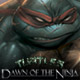 Turtles: Dawn of the Ninja