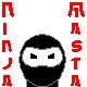 Ninja Masta Files, The