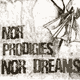 Nor Prodigies Nor Dreams