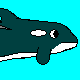 Cetacean Toons