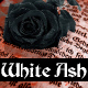 White Ash