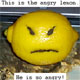 Angry Lemon and Friends
